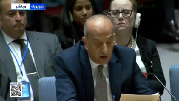 ممثل مصر بمجلس الأمن