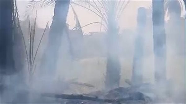 حريق يلتهم 30 نخلة