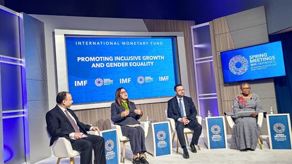 وزيرة التخطيط