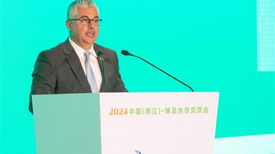 رئيس اقتصادية السويس: استثمار 1.8 مليار جنيه بميناء غرب بورسعيد لإنشاء مركز لوجستي كامل