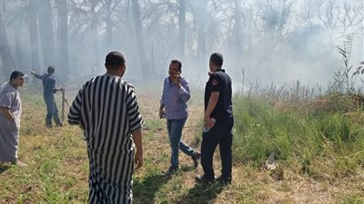 حريق يلتهم فدانين من النخيل في الوادي الجديد| صور
