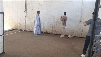 لتوفير لحوم آمنة وصحية.. بيطري المنيا يعاين مجزر ملوي العمومي تمهيدًا لبدء رفع كفاءته في المنيا