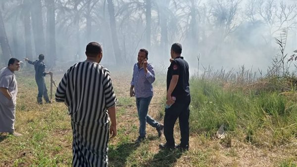 جانب من الحريق