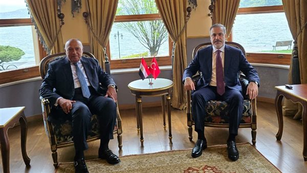 وزير الخارجية سامح