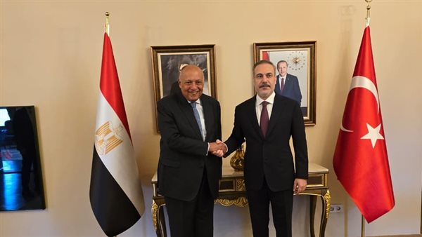 وزير الخارجية ونظيره