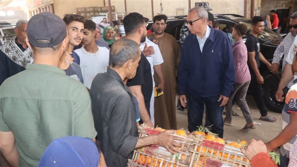 محافظ القليوبية 