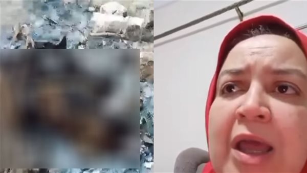 واقعة حرق الكلاب