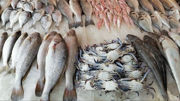بيع الأسماك في بورسعيد