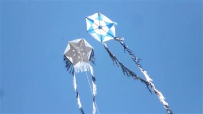 متحدث الوزارة: الطائرات الورقية تتسبب في أعطال الكهرباء.. وتؤدي إلى وفاة العديد من المواطنين (فيديو)