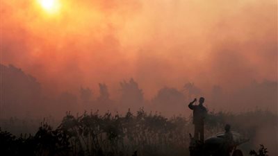 مجلس الوزراء يستعرض خطة وزارة البيئة لمواجهة “السحابة السوداء”