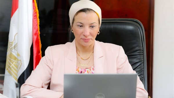 ياسمين فؤاد، وزيرة