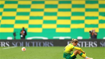 رسمياً.. وست هام يطرد نورويتش سيتي من البريميرليج ويعيده للتشامبيونشيب