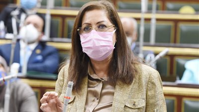 هالة السعيد: إنشاء مجلس أعلى للتخطيط والتنمية المستدامة برئاسة رئيس الجمهورية