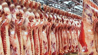 الحكومة توضح حقيقة زيادة أسعار اللحوم بالمجمعات الاستهلاكية مع حلول عيد الأضحى