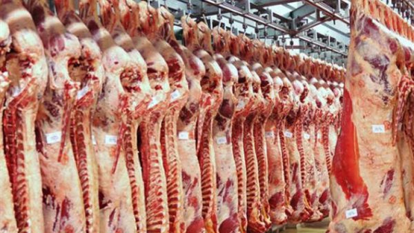 لحوم - أرشيفية