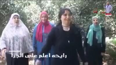 مخرج  “رايحة فين يا منار”: حزين من تنمر السوشيال ميديا (فيديو)