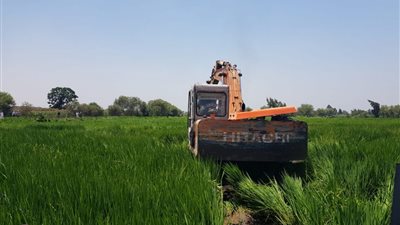 “الزراعة”: رصدنا 12 حالة تعدي أول أيام عيد الأضحى وإحالة المخالفين للنيابة العسكرية