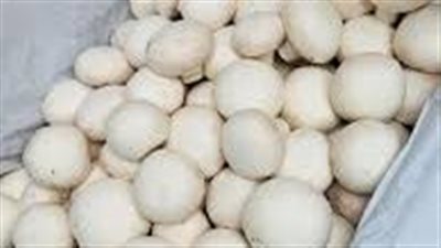 السعودية: العثور على 72 ألف بيضة فاسدة في موقع لإعادة تدوير البيض بجدة