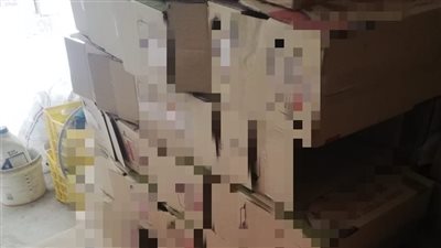 ضبط 18 ألف قطعة مثلجات وآيس كريم غير صالحة للاستهلاك الآدمي بسوهاج| صور