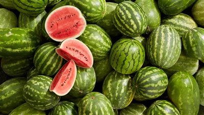 تعرف على أسعار البطيخ اليوم 28 أبريل 2025 بعد الانخفاض الأخير