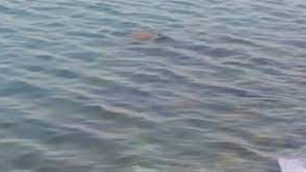 جثة - أرشيفية