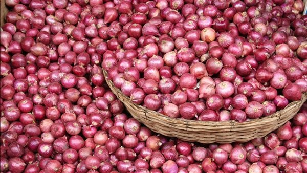 تصدير البصل 