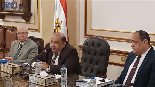 نائب رئيس جامعة القاهرة