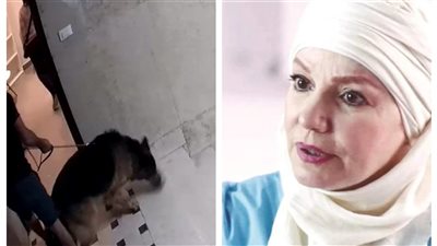 عيادة كلاب في عمارة الفنانة مشيرة إسماعيل بالقاهرة.. والحي يرد: قانونية ومرخصة