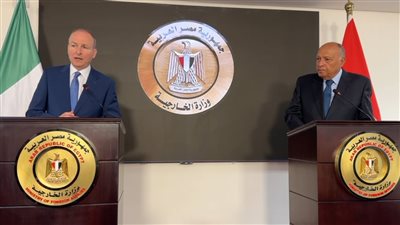 وزير الخارجية: ندعو إسرائيل لعدم اتخاذ أي إجراءات عسكرية في رفح