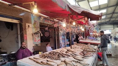 الغرف التجارية: أسعار الأسماك انخفضت 70% بعد المقاطعة.. ونسبة تراجع السلع وصلت لـ 35%