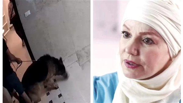 الفنانة مشيرة إسماعيل