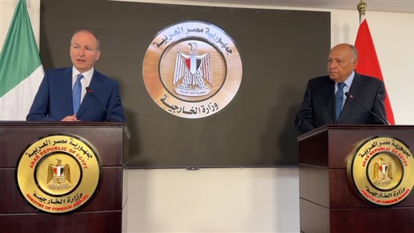 شكري ونظيره الأيرلندي