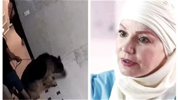 الفنانة مشيرة إسماعيل