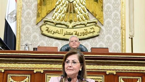 وزيرة التخطيط 