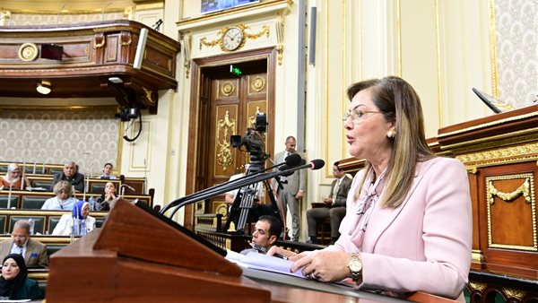 وزيرة التخطيط 