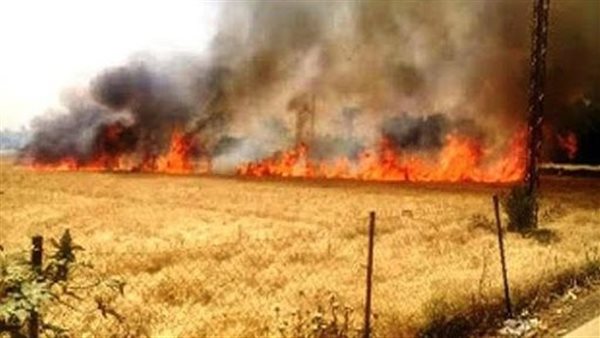 حريق ارض زراعية -