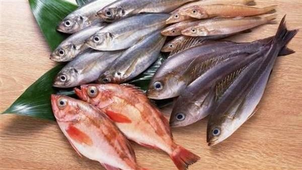 الأسماك - تعبيرية