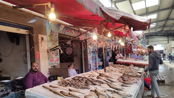 سوق الأسماك - بورسعيد
