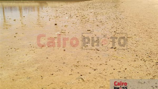 تراجع وانحسار لمياه