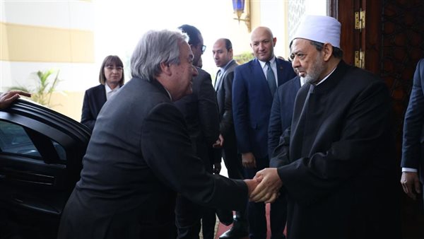 الامام الطيب والأمين