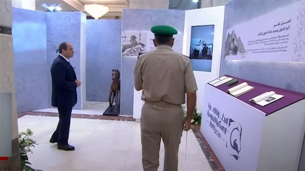 الرئيس السيسي