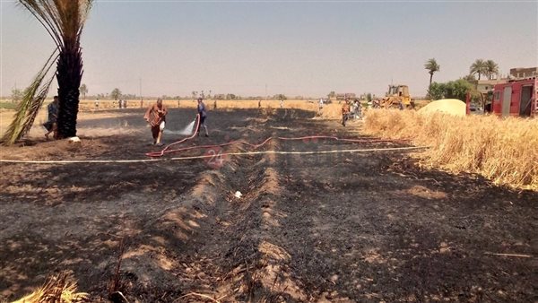 اندلاع حريق بالقمح