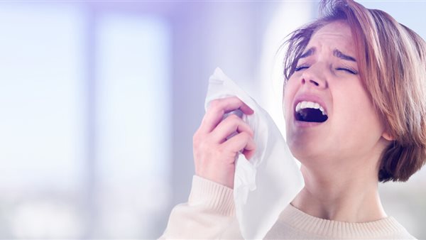 جيوب الانفية 