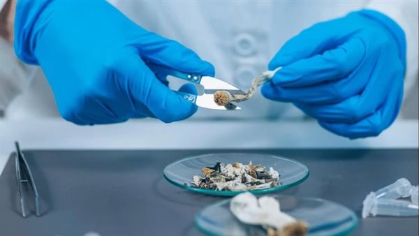  صورة تعبيرية 