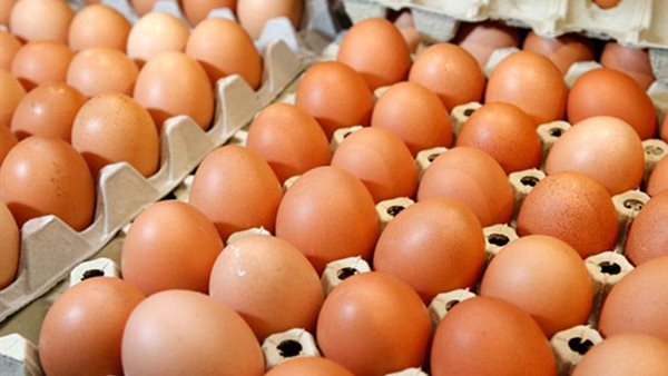 بيض المائدة