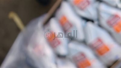 مليون كيلو فراخ فاسدة.. هروب أكبر مستورد مجمدات بدمياط بعد قرار ضبطه وإحضاره