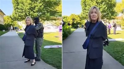 من هي نويل مكافي عالمة الفلسفة المعتقلة بسبب تأييد غزة؟