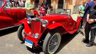 القديمة تحلى.. كرنفال احتفالي لأكبر تجمع للسيارات الكلاسيكية بوسط البلد