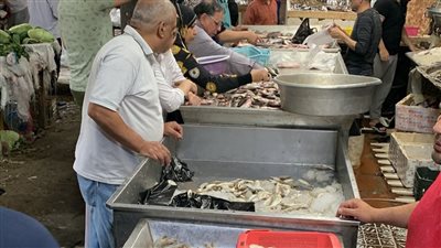 رغم المقاطعة.. زحام كبير على شراء الأسماك بالإسماعيلية بعد انخفاض أسعارها| بث مباشر