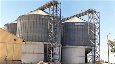 تموين القاهرة: توريد 1455 طن قمح بنطاق العاصمة منذ بداية موسم الحصاد